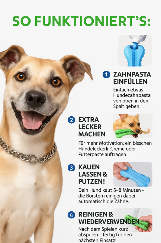 Dental-Kauspielzeug – Saubere Zähne. Glücklicher Hund.