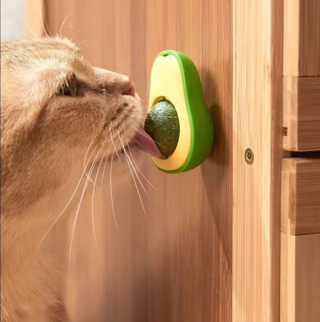 Mintado - Das drehbare Avocado-Spielzeug für deine Katzen