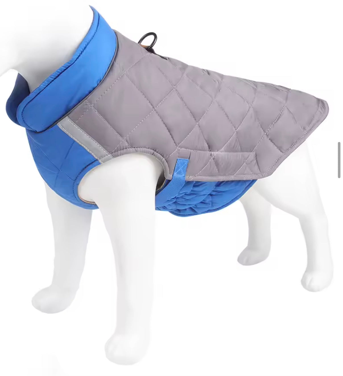 Hundemantel für die kalte Jahreszeit