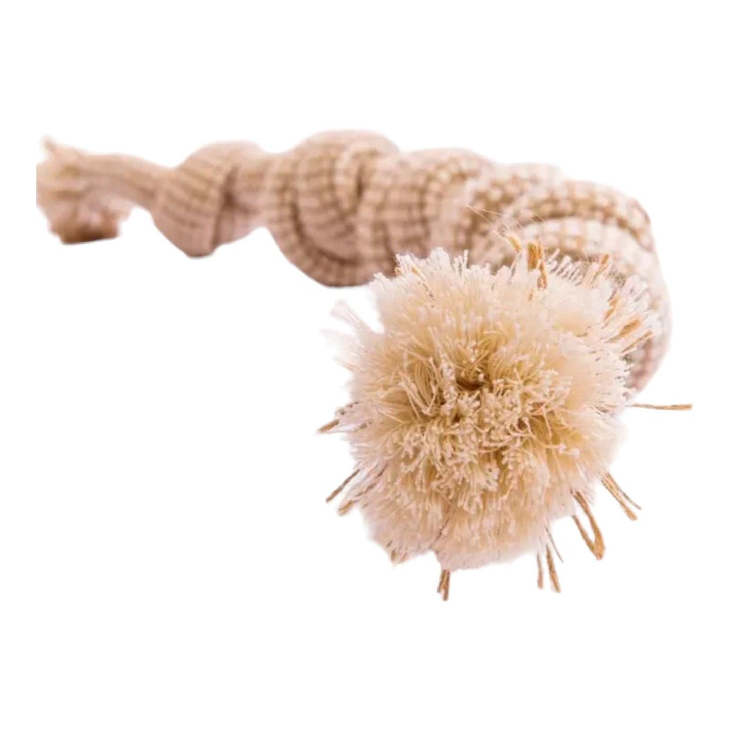 Tauseil Hundekauspielzeug