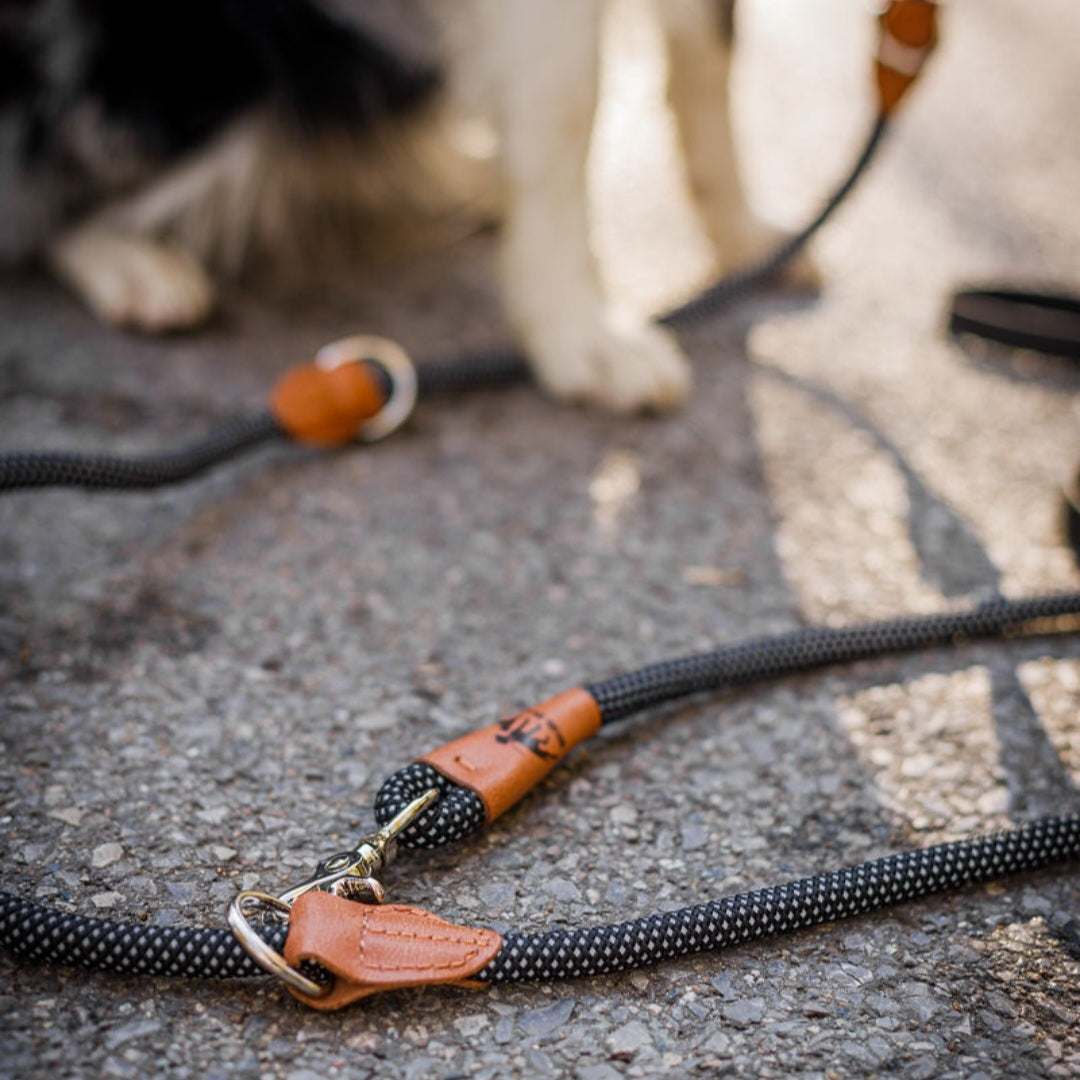 Reflektionsleine GLOW