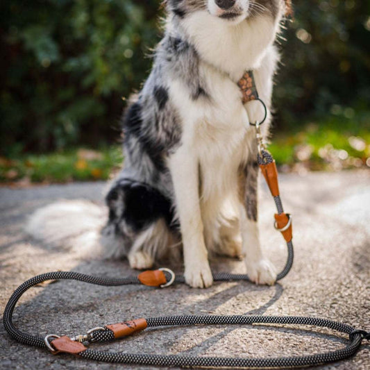 Reflektionsleine GLOW